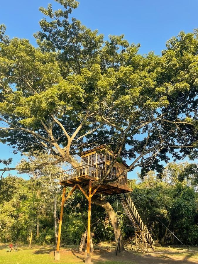 Вилла Casa En El Arbol Утика Экстерьер фото